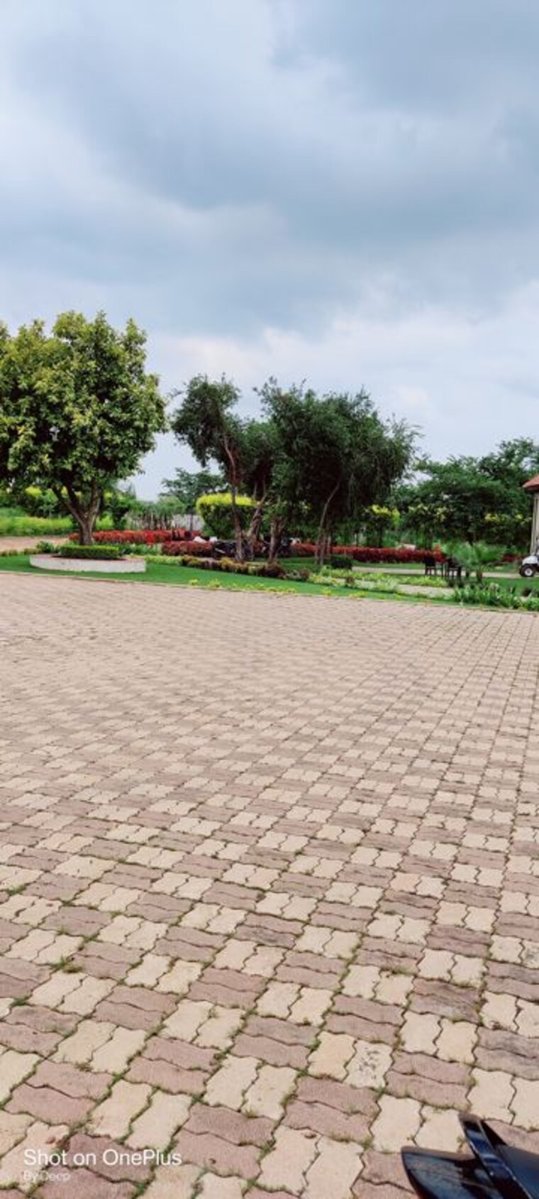undefined, dharampura  1418 Sq.Ft. Plot In Dharampura Raipur 10511946