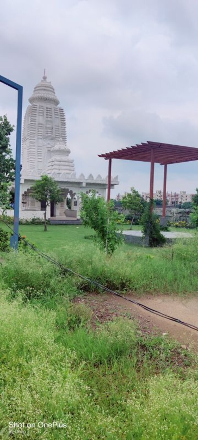 Garden, dharampura  1418 Sq.Ft. Plot In Dharampura Raipur 10511946
