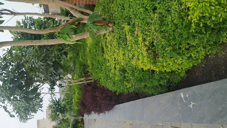 Garden, dharampura  1418 Sq.Ft. Plot In Dharampura Raipur 10511946