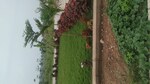 1418 Sq.Ft. Plot in Dharampura