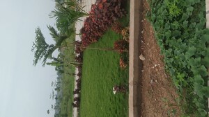  Plot For Sale in Dharampura