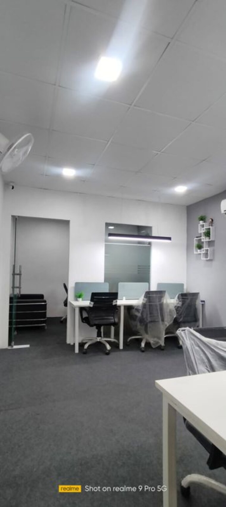 Team Area, sector 62 Commercial Office Space 350 Sq.Ft. In Sector 62 Noida 10514780