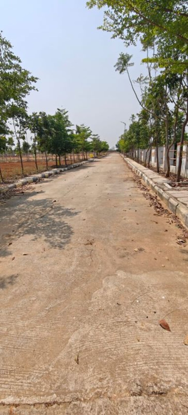 undefined, prajay-virgin-county  250 Sq.Yd. Plot In Maheshwaram Hyderabad 10515147