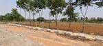 250 Sq.Yd. Plot in Prajay Virgin County