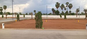 Plot Area in  Plot at Trichy Madurai Road – for Sale