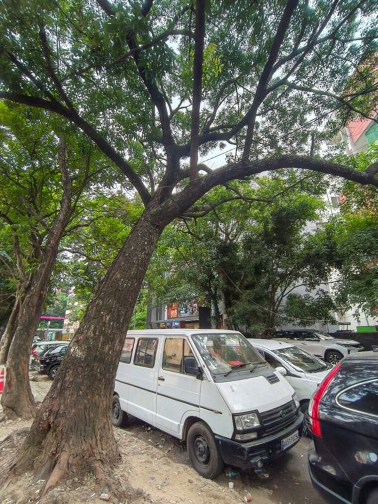 Exterior View, jayanagar Commercial Land 3469 Sq.Ft. In Jayanagar Bangalore 10515160
