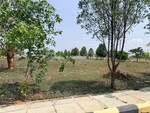 200 Sq.Yd. Plot in Premium County