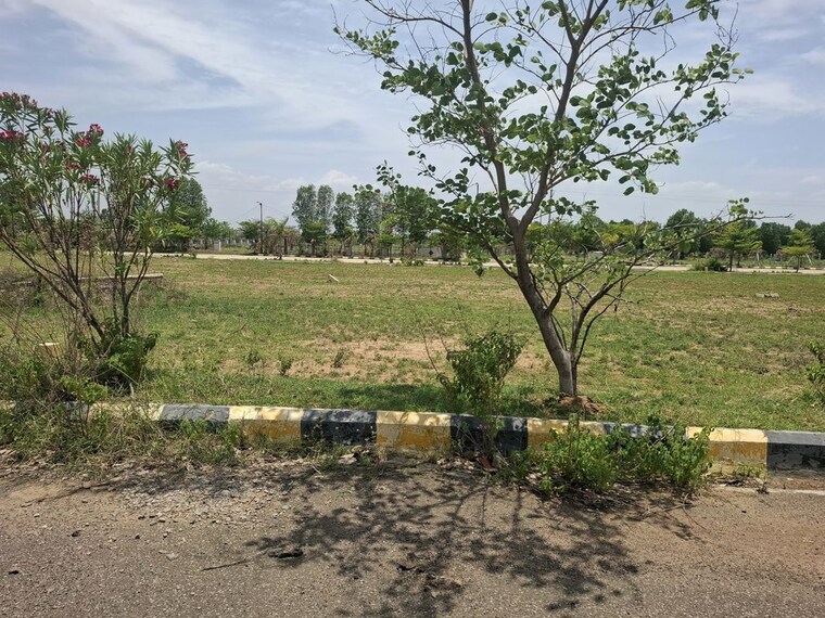 undefined, peddapur  254 Sq.Yd. Plot In Peddapur Sangareddy 10515308