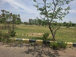 254 Sq.Yd. Plot in Peddapur