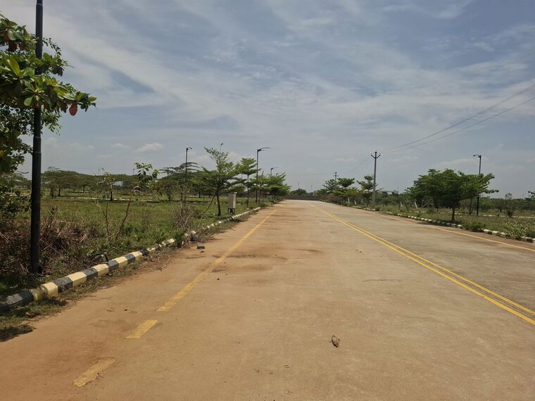 undefined, peddapur  254 Sq.Yd. Plot In Peddapur Sangareddy 10515308