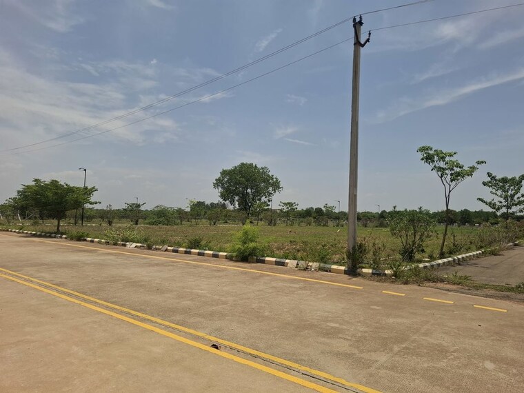Garden, peddapur  254 Sq.Yd. Plot In Peddapur Sangareddy 10515308