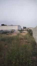 100 Sq.Yd. Plot in Bhondsi