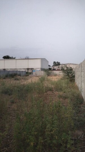  Plot For Sale in Bhondsi