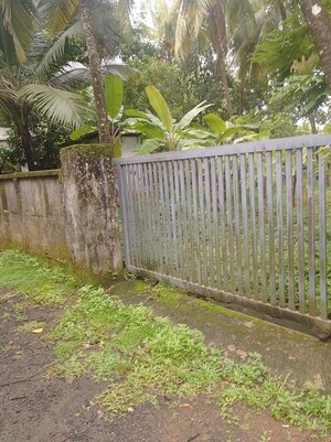  Plot For Sale in Peringavu