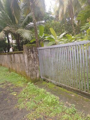 Plot Area in  Plot at Peringavu – for Sale