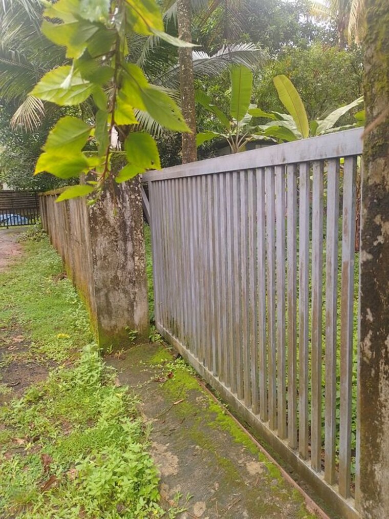 undefined, peringavu  6312 Sq.Ft. Plot In Peringavu Thrissur 10515404
