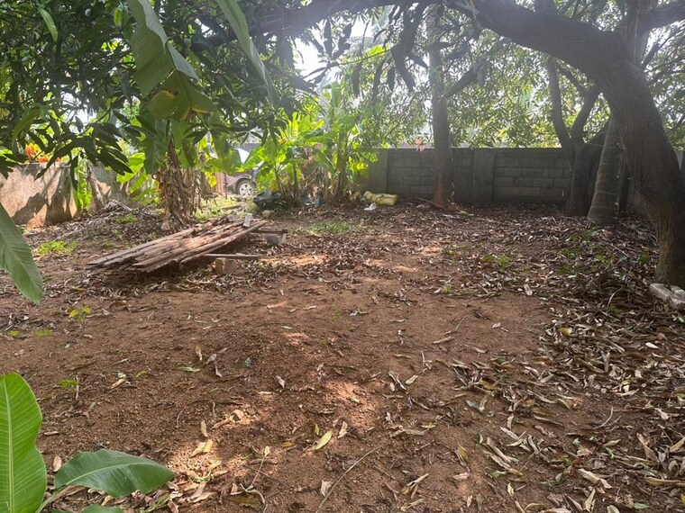 undefined, chembukkav  3485 Sq.Ft. Plot In Chembukkav Thrissur 10515689