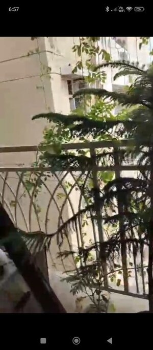 3 BHK Apartment For Sale in Mahagun Mywoods, Sector 16c Greater Noida