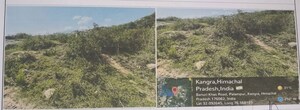 Plot Area in  Land at Nagrota Bagwan – for Sale