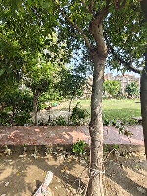 Plot Area in 6+ BHK Villa at Vasundhara Sector 14 – for Sale