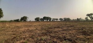  Land For Sale in Nardana