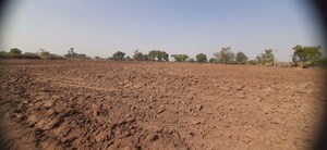 Plot Area in  Land at Nardana – for Sale