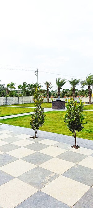  Plot For Sale in Shadnagar