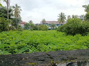  Land For Sale in Nettoor