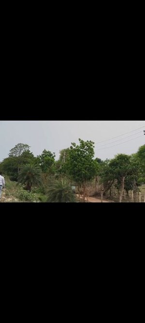 Plot Area in  Plot at Srisailam Town – for Sale