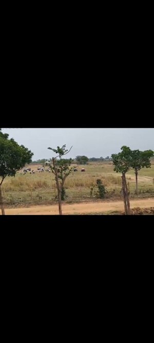  Plot For Sale in Srisailam Town