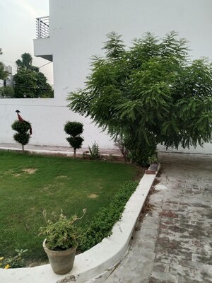 2.5 BHK Independent House – Garden View at Huda - for Rent