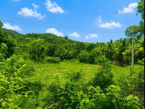  Plot – Garden View at Majali - for Sale