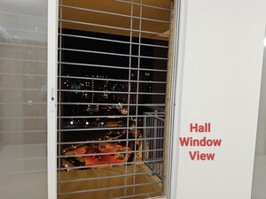 Hall in 2 BHK Apartment at Rama Fusion Towers, Hinjewadi – for Rent