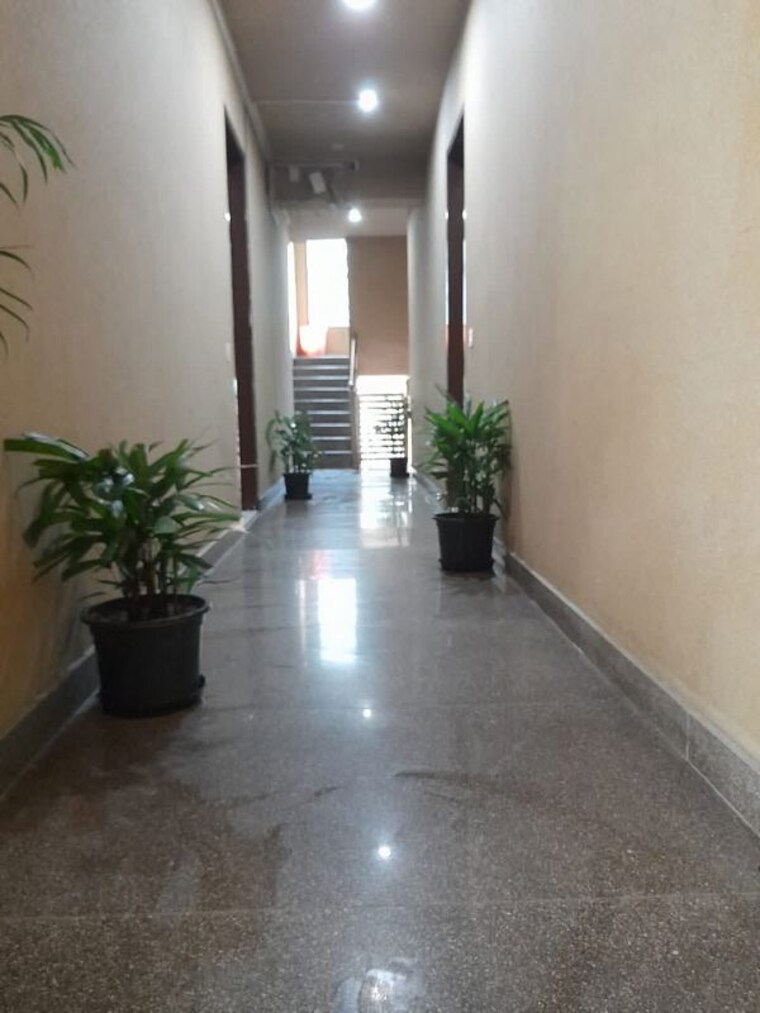 Room, allure-estate 1 RK 500 Sq.Ft. Builder Floor In Sector 14 Gurgaon 10516917