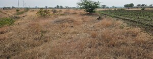 Plot Area in  Plot at Supe – for Sale
