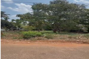 Plot Area in  Plot at Marathakkara – for Sale