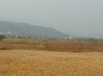 1089 Sq.Ft. Plot in Karjat