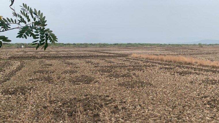 undefined, uran  1089 Sq.Ft. Plot In Uran Navi Mumbai 10517089