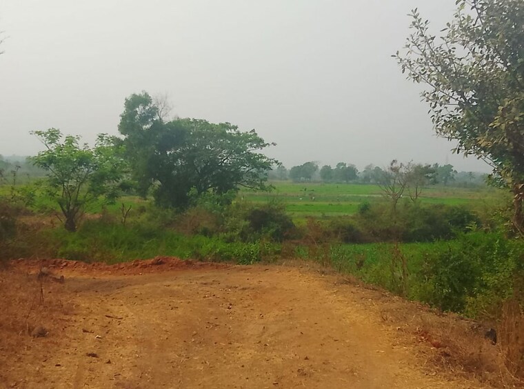 undefined, pen Commercial Land 1089 Sq.Ft. In Pen Navi Mumbai 10517099