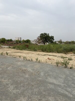 Plot Area in  Plot at Harhua – for Sale