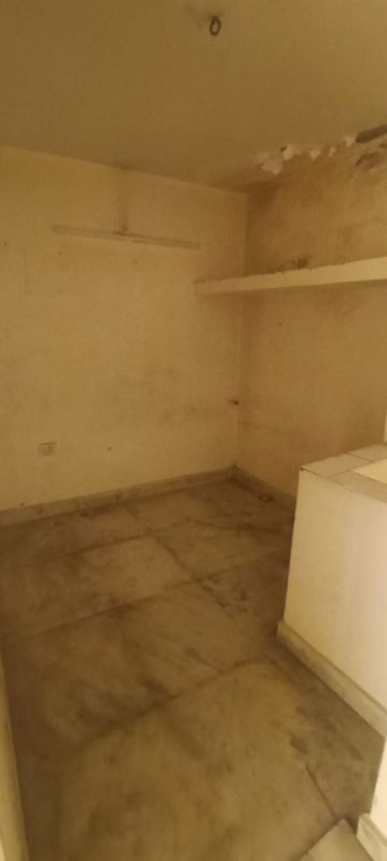Room, rohini sector 8 3 Bedroom 350 Sq.Ft. Independent House In Rohini Sector 8 Delhi 10517303