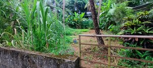 Plot Area in  Plot at Viyyur – for Sale