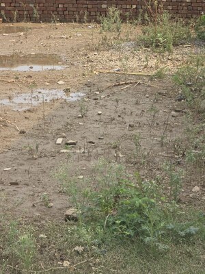 Plot Area in  Plot at Leelavati Enclave, Sector 72 – for Sale