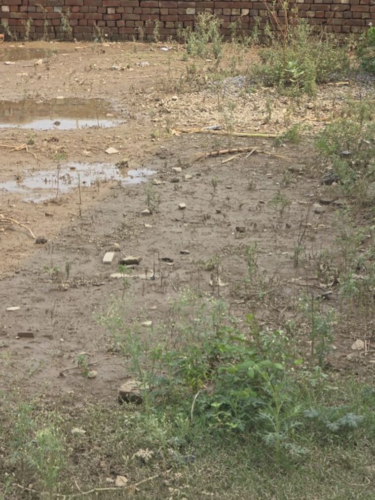 undefined, leelavati-enclave  203 Sq.Yd. Plot In Sector 72 Faridabad 10517419