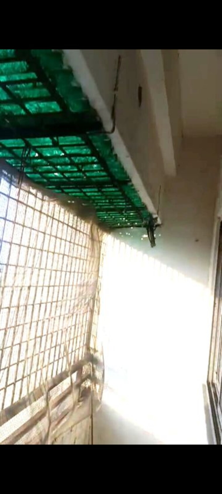 Balcony, jatharpeth 2 Bedroom 923 Sq.Ft. Apartment In Jatharpeth Akola 10517137