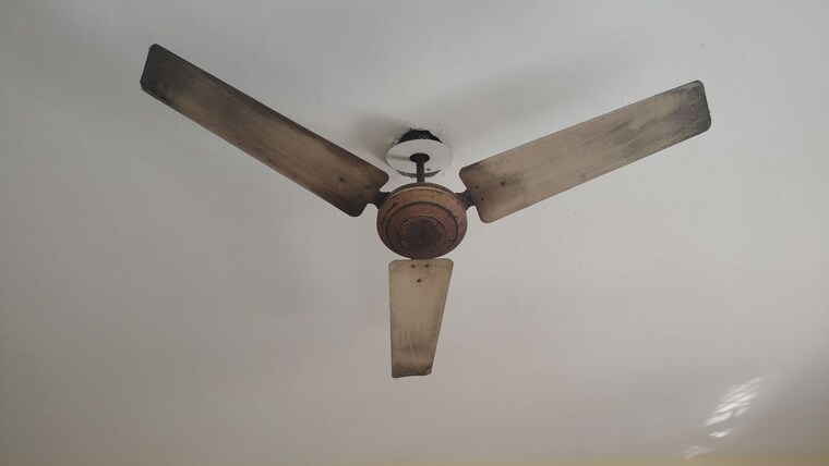 undefined, sector 55 6+ Bedroom 258 Sq.Ft. Villa In Sector 55 Noida 10517721