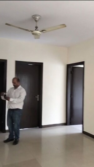 2 BHK Apartment For Rent in BPTP Park Grandeura, Sector 82