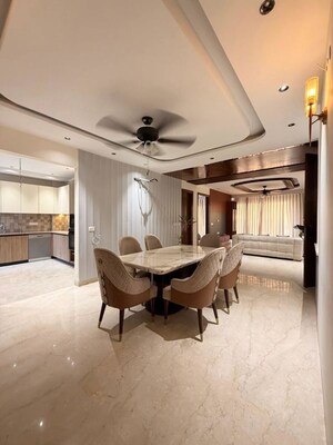 Team Area in 2 BHK Builder Floor at Sector 22 – for Rent