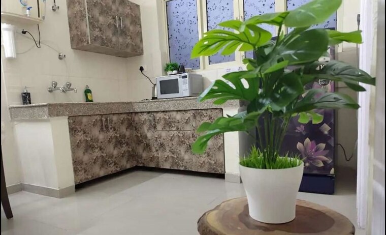 Kitchen, nk-savitry-enclave 1 Bedroom 400 Sq.Ft. Apartment In Vip Road Zirakpur 10518041