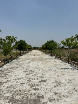 Plot Area in  Plot at Jait – for Sale
